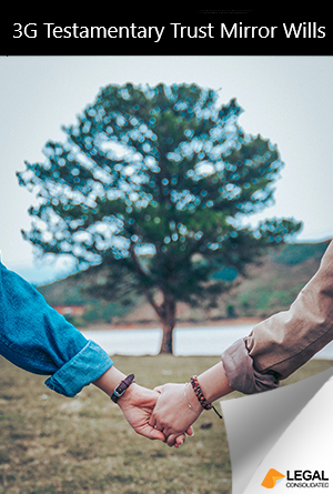 Tax Effective 3-Generation Testamentary Trust Mirror Wills Book Cover