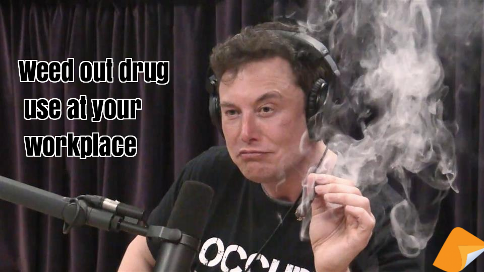 alcohol and drug workplace policy